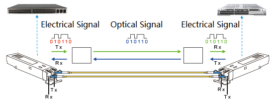 Optical Modules.png