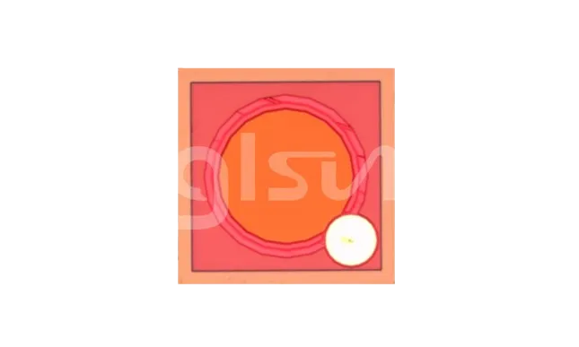 Monitor Photodiode Chip