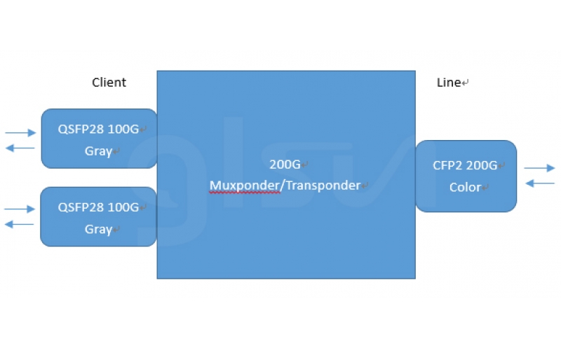 What Is Transponder and Muxponder?