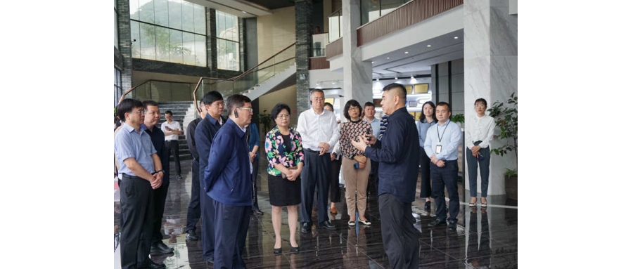 Delegation of All-China Federation of Industry and Commerce Visit GLsun